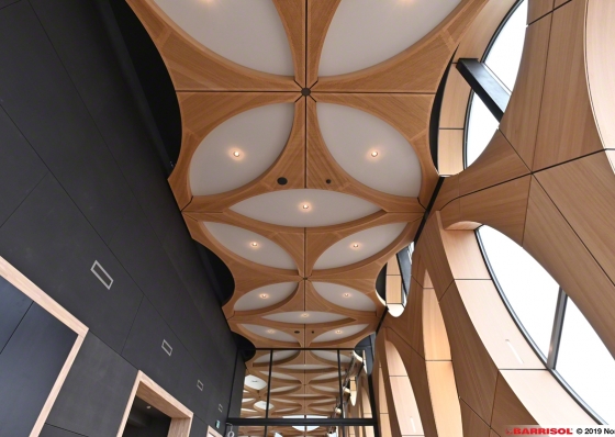 Naturalis_19